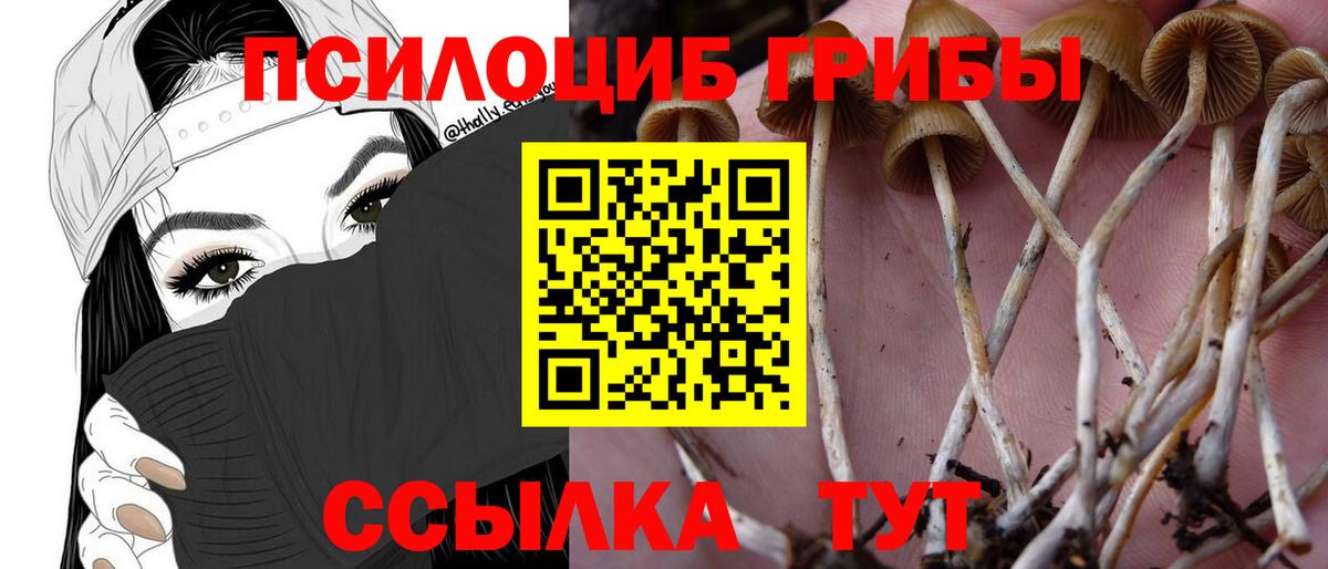 Гуково  Псилоцибиновые грибы прущие грибы  цена наркотик  Вход с VPN 